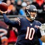 Bears